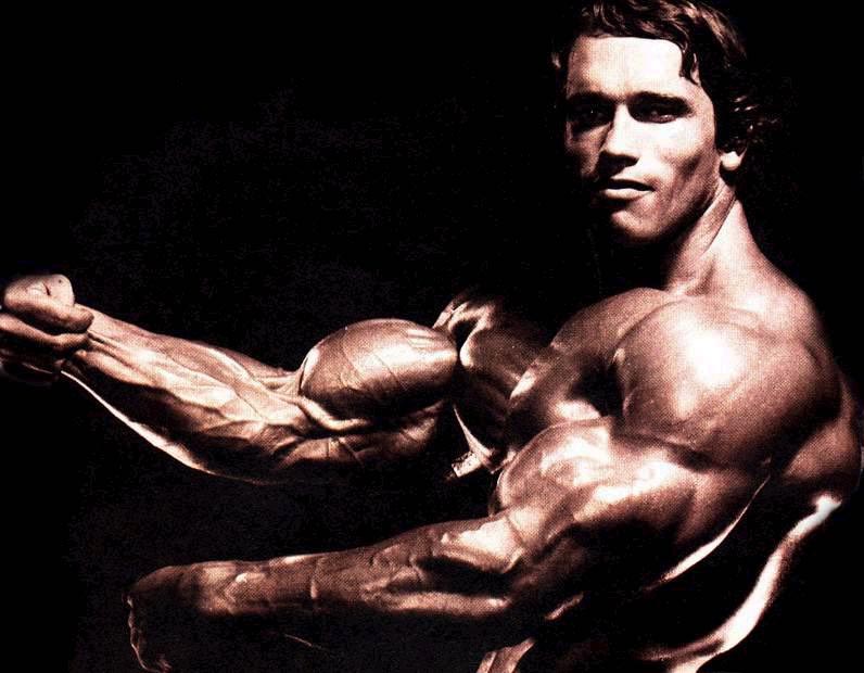 arnold schwarzenegger workout. So, you like the way Arnold