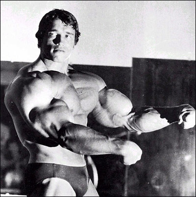 arnold swarchenegger. The Arnold Schwarzenegger
