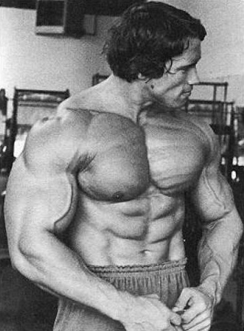arnold schwarzenegger bodybuilding diet. Arnold Schwarzenegger is the